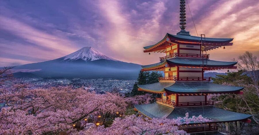 Tokyo: Mount Fuji & Hakone Private Tour with Guide - Subaru 5th Station: the Fuji viewpoint that sets the tone