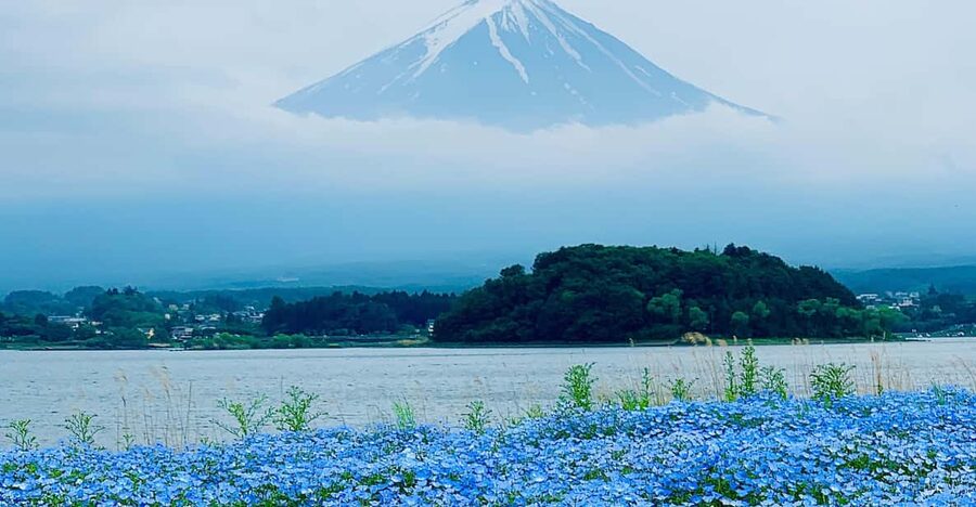 Tokyo: Mount Fuji Private Customized English Guided Tour - Price and Logistics: Is This Worth $428 Per Group?