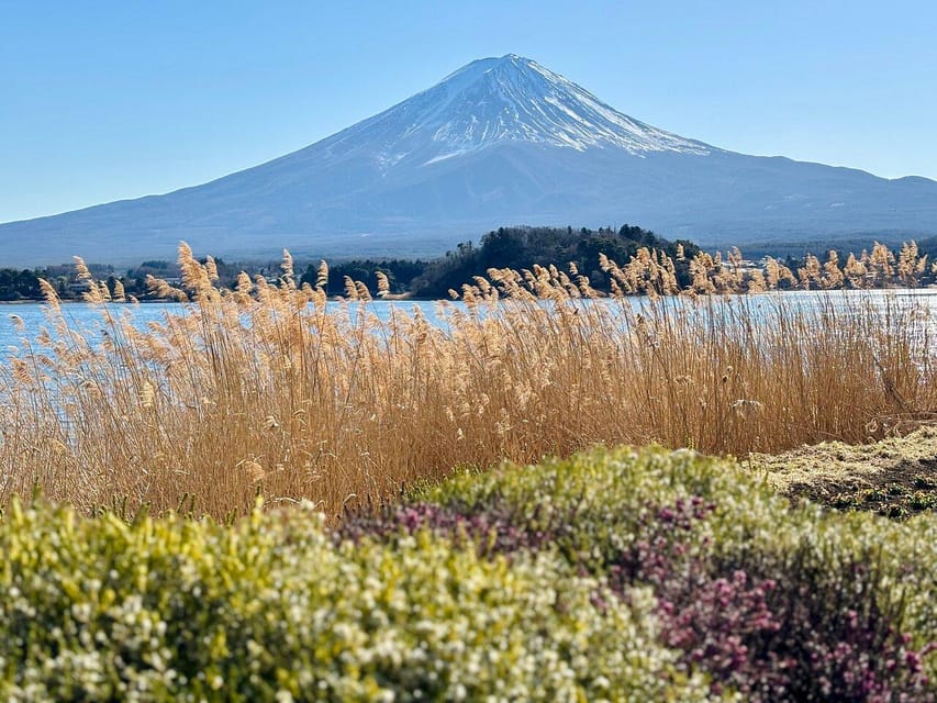 Tokyo: Mount Fuji Private Customized English Guided Tour - Lake Kawaguchi and Oishi Park: Where the Fuji Reflection Energy Lives