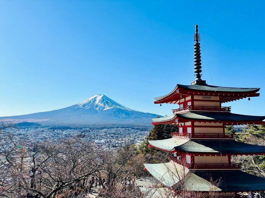 Tokyo: Mount Fuji Private Customized English Guided Tour - Fuji Five Lakes vs Hakone: Pick Your Mood, Then Trust the Route