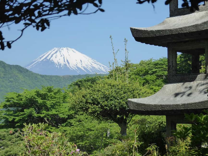 Tokyo: Mount Fuji Private Tour By Car With Hotel Pick Up - Car comfort and guides: why the names Ali, Ahmad, Musa, and others matter