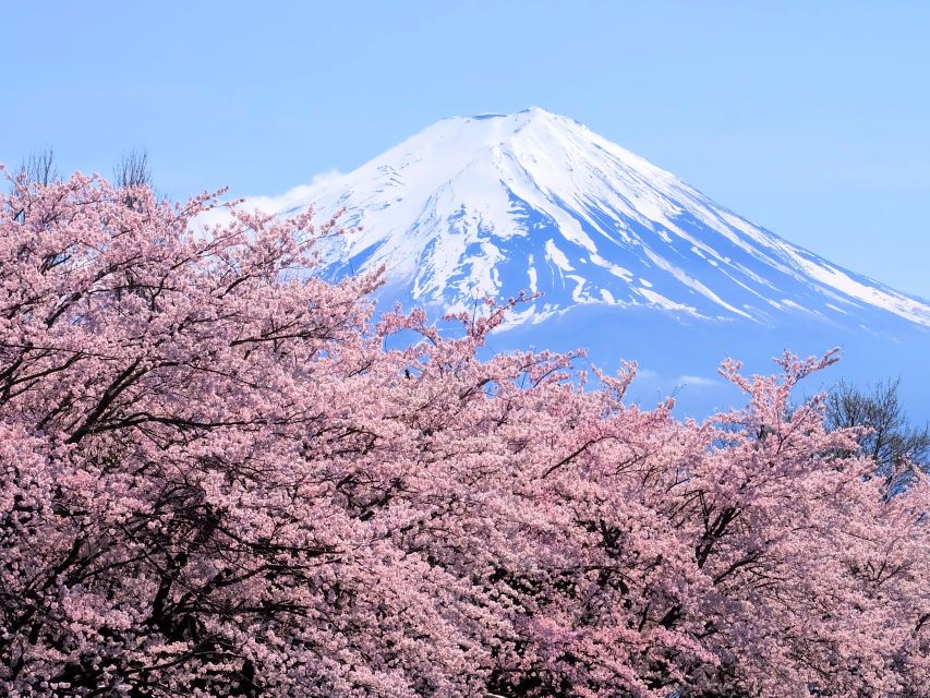 Tokyo: Mt. Fuji 5th Station & Hakone Cruise 1-Day Bus Tour - From Shinjuku at 8am to Mt. Fuji 5th Station at 2,000 Meters