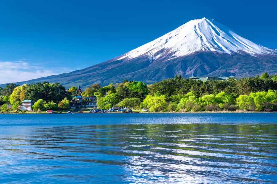 Tokyo: Mt. Fuji 5th Station, Kawaguchiko Tour w/ Cable Car - Fuji Q Highland Lunch Timing and Food Reality