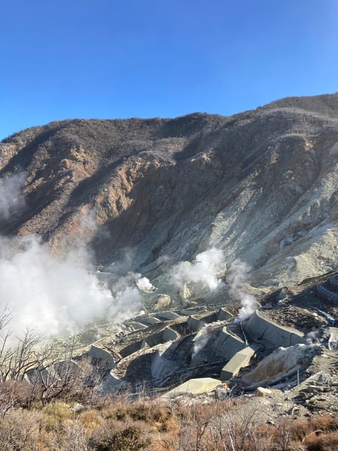 Tokyo: Mt. Fuji and Hakone Tour with Cable Car and Cruise - Owakudani Volcano by Hakone Ropeway: sulfur steam and striking altitude change