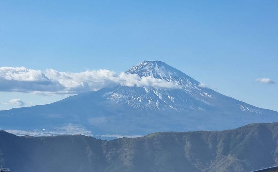 Tokyo: Mt. Fuji and Hakone Tour with Cable Car and Cruise - Getting back to Tokyo: bus timing, and drop-offs that matter