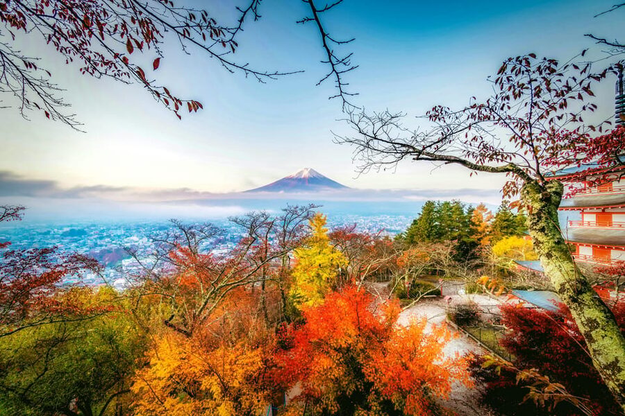 Tokyo: Mt. Fuji and Hakone tour with English Speaking Driver - Shopping time at Gotemba Premium Outlets: useful if you need a break