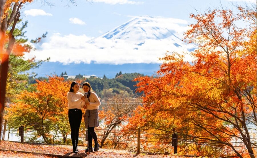 Tokyo: Mt. Fuji and Hakone tour with English Speaking Driver - Private Tokyo Mt. Fuji and Hakone in one long day: price and pacing