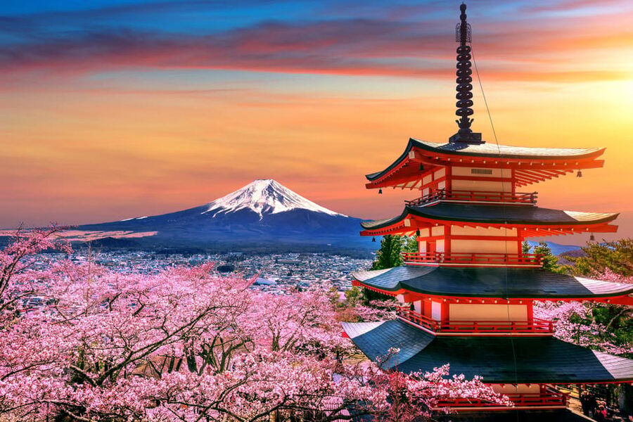 Tokyo: Mt. Fuji and Hakone tour with English Speaking Driver - Mt. Fuji 5th Station: the best shot at real mountain air