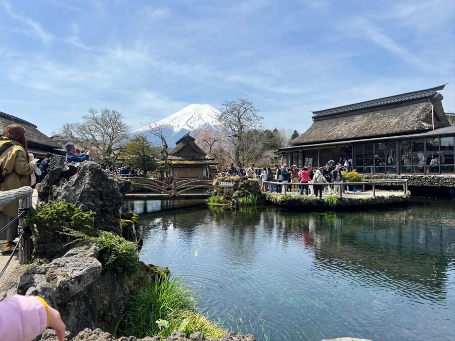 Tokyo: Mt. Fuji and Hakone tour with English Speaking Driver - Oshino Hakkai ponds and thatched village charm