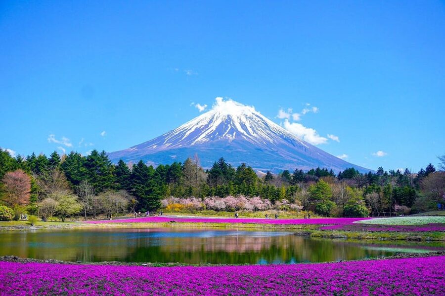 Tokyo: Mt. Fuji and Hakone tour with English Speaking Driver - Ninja Village and how to keep the day fun for kids or the young at heart