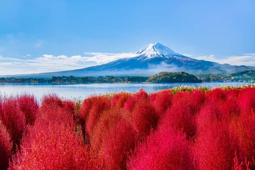 Tokyo: Mt. Fuji, Arakurayama Sengen Park, Oshino Hakkai Tour - Key Points You’ll Actually Care About