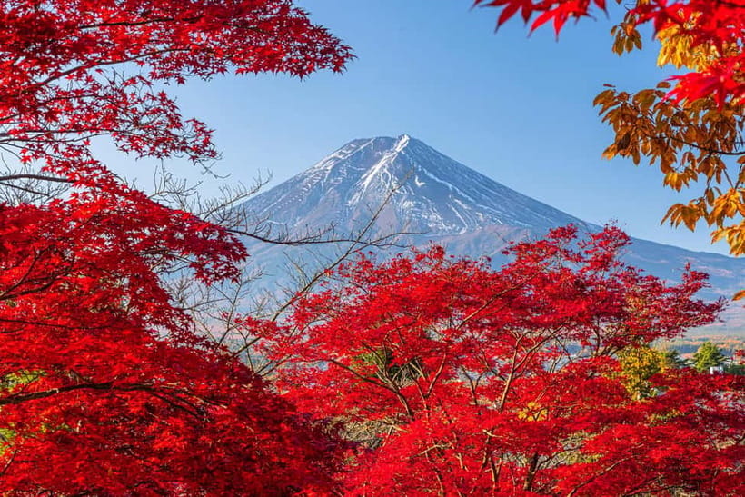 Tokyo: Mt. Fuji, Arakurayama Sengen Park, Oshino Hakkai Tour - From Shinjuku to Fuji, What 570 Minutes Buys You