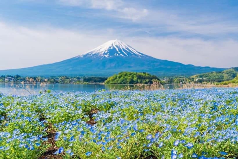 Tokyo: Mt. Fuji, Arakurayama Sengen Park, Oshino Hakkai Tour - Oshino Hakkai: The Spring Water That Reflects Mt. Fuji