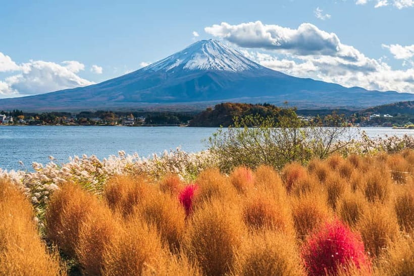 Tokyo: Mt. Fuji, Arakurayama Sengen Park, Oshino Hakkai Tour - Who Should Book This Mt. Fuji Day Trip From Tokyo?