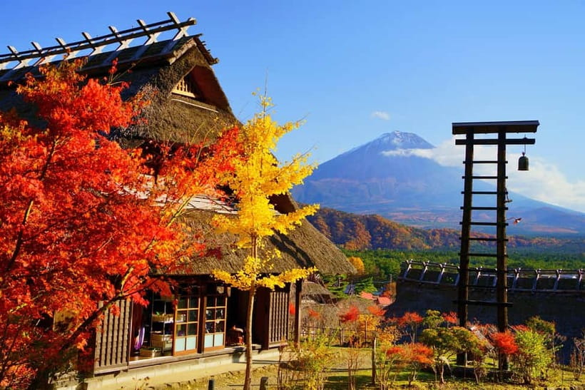 Tokyo: Mt. Fuji, Arakurayama Sengen Park, Oshino Hakkai Tour - Arakurayama Sengen Park: Pagoda + Mount Fuji in Every Season