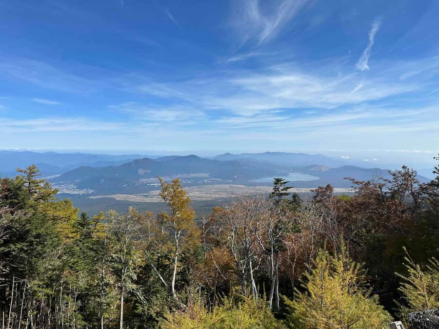 Tokyo: Mt Fuji Area Guided Tour with Traditional Lunch - Price and Value at About $96