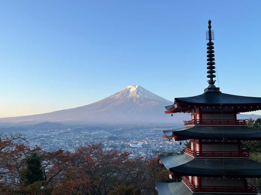 Tokyo: Mt Fuji Area Guided Tour with Traditional Lunch - A One-Day Fuji Fix from Shinjuku