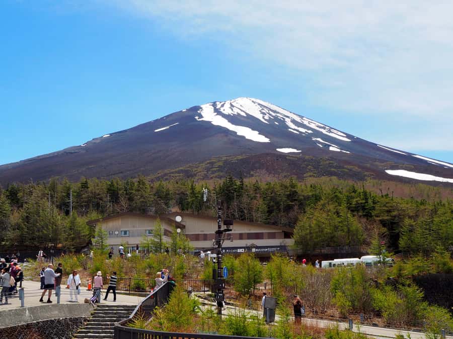 Tokyo: Mt Fuji Area Guided Tour with Traditional Lunch - Oishi Park: Where You Go for the Iconic Fuji-Lake Shot