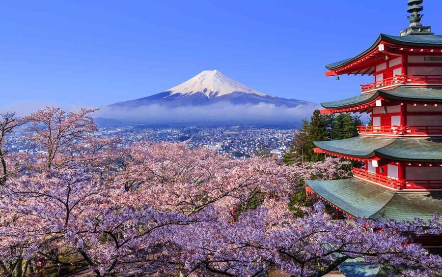Tokyo: Mt. Fuji & Hakone Cherry Blossoms Private Day Tour - Key highlights I’d plan around