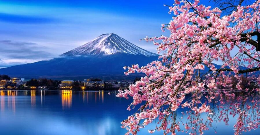 Tokyo: Mt. Fuji & Hakone Cherry Blossoms Private Day Tour - How this Mt. Fuji and Hakone cherry blossom private day tour actually feels