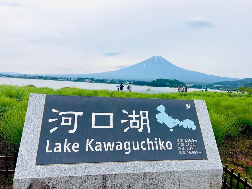 Tokyo: Mt. Fuji & Hakone Cherry Blossoms Private Day Tour - Price and logistics: when $490 per group is value, and when it is not