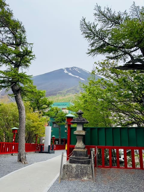 Tokyo: Mt. Fuji & Hakone Cherry Blossoms Private Day Tour - Your guide matters, and quality can vary