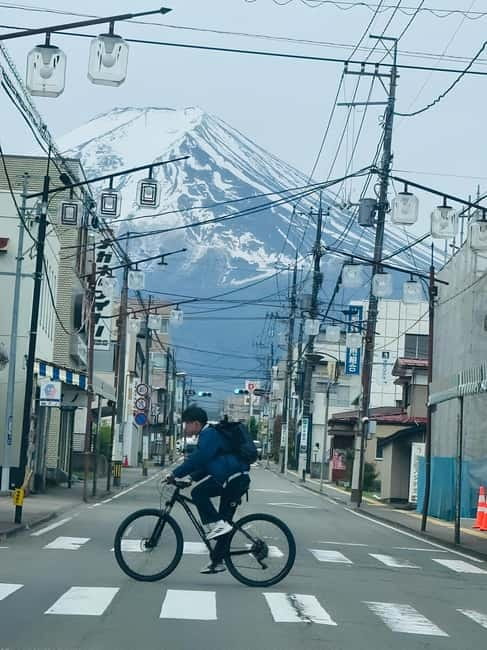 Tokyo: Mt. Fuji & Hakone Private Custom Tour English Driver - Key things that make this tour worth considering