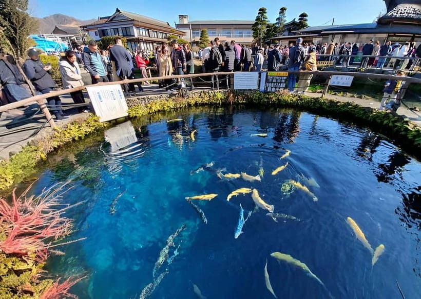 Tokyo: Mt. Fuji & Hakone Private Custom Tour English Driver - Lake Ashi and the Hakone Open-Air Museum: the best kind of variety in one day