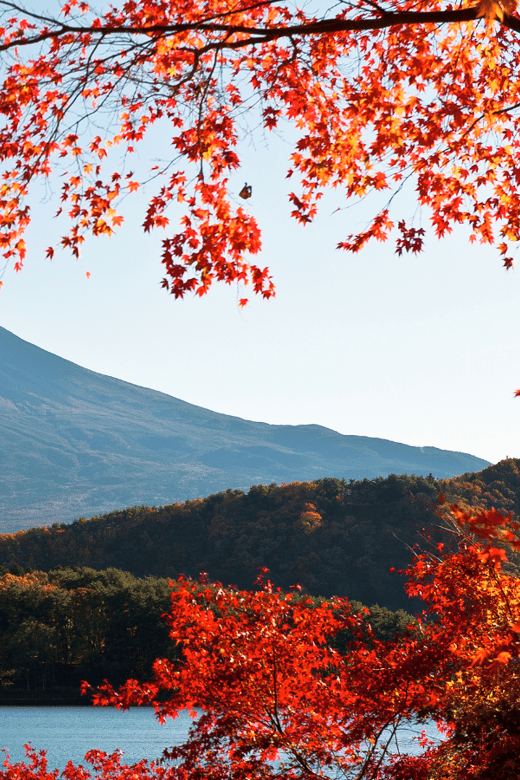 Tokyo: Mt. Fuji Hidden Gems and Aokigahara Forest Tour - Key highlights worth planning around