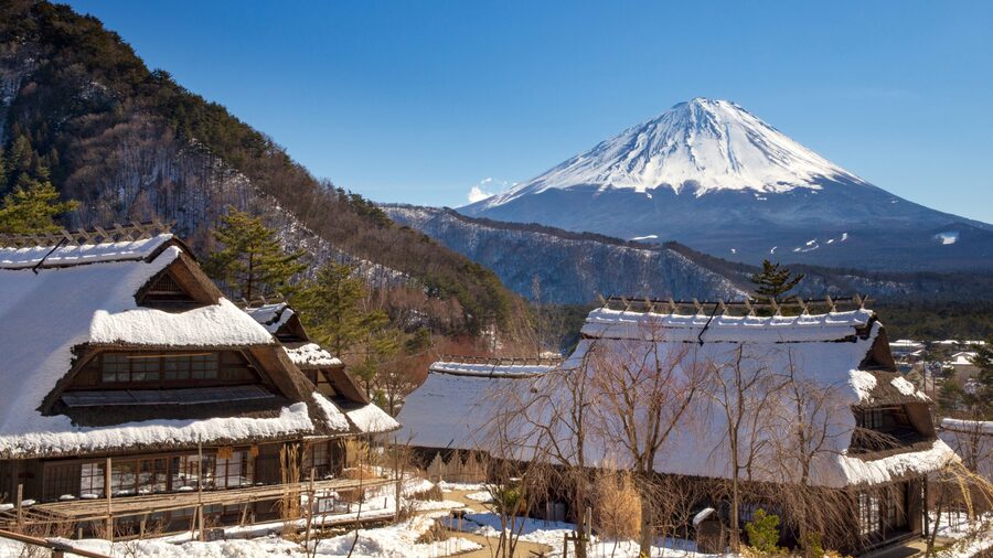 Tokyo: Mt. Fuji Hidden Gems and Aokigahara Forest Tour - Oishi Park on Lake Kawaguchi: your first Fuji framed by flowers