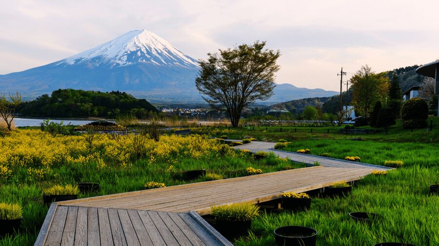 Tokyo: Mt. Fuji Hidden Gems and Aokigahara Forest Tour - Saiko Nenba-hama: a calm lakeside pause that breaks up the schedule