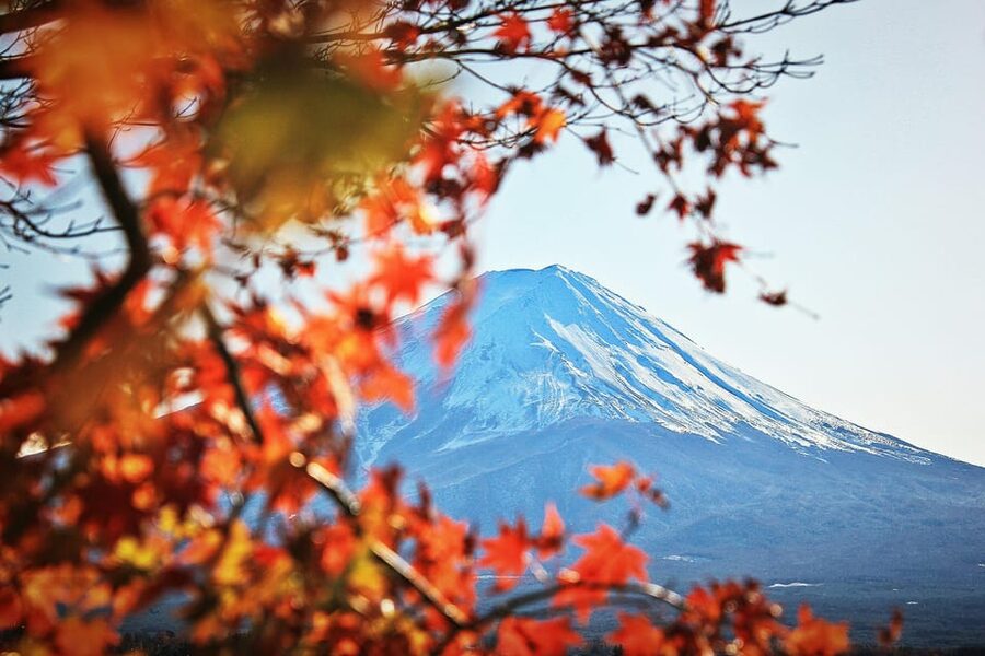 Tokyo: Mt. Fuji Hidden Gems and Aokigahara Forest Tour - Tatego-Hama Beach by Lake Motosuko: quiet water, big sky