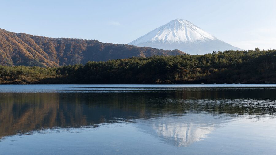 Tokyo: Mt. Fuji Hidden Gems and Aokigahara Forest Tour - Narusawa Ice Cave: volcanic ice, when it’s accessible