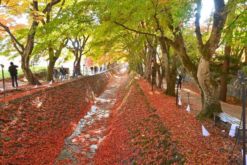 Tokyo:Mt.Fuji,Kawaguchiko Oishi Park,Arakurayama Sengen Park - Saiko Iyashi-no-Sato Nenba: Thatched Village, Crafts, and Optional Costume Photos