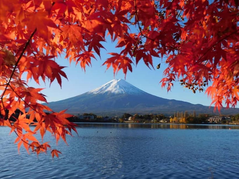 Tokyo:Mt.Fuji,Kawaguchiko Oishi Park,Arakurayama Sengen Park - A Mt. Fuji Day Trip That Stops at the Best Types of Viewpoints