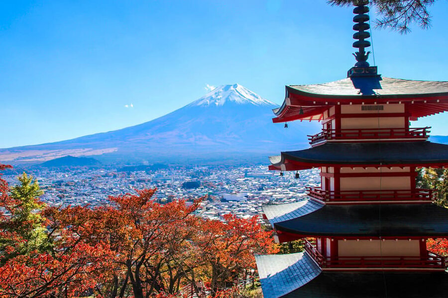 Tokyo:Mt.Fuji,Kawaguchiko Oishi Park,Arakurayama Sengen Park - Kawaguchiko Craft Park: Lunch With a View, Shopping, and Workshop Options