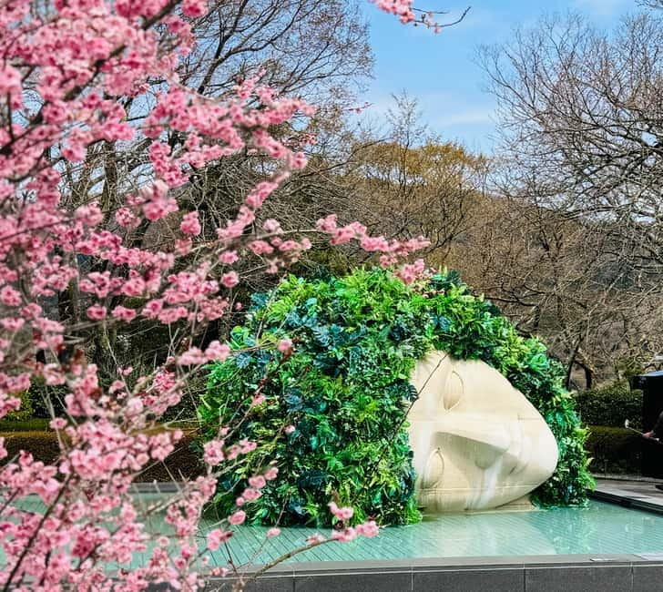 Tokyo: Mt. Fuji, Owakudani, Hakone Shrine, & Open-Air Museum - Hakone Open-Air Museum: Sculptures in the Fresh Air