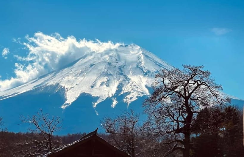 Tokyo: Mt. Fuji Summer Trip 5th Station & Lake Kawaguchi - Tokyo to Fuji, the Day Starts With a Real Pickup