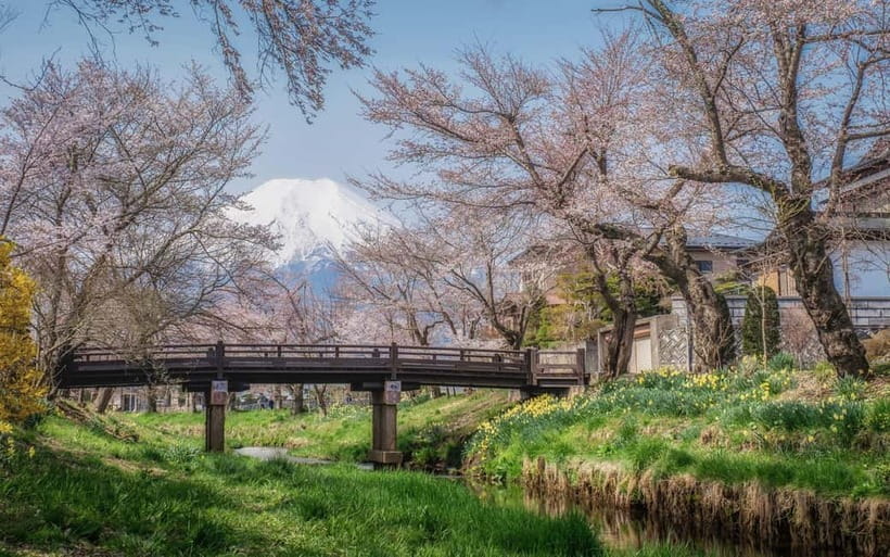Tokyo: Mt. Fuji Summer Trip 5th Station & Lake Kawaguchi - Oshino Hakkai, Lunch Included, Spring Water Included Too