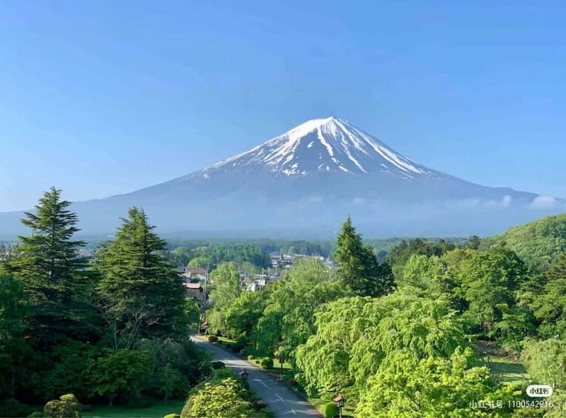 Tokyo: Mt. Fuji Summer Trip 5th Station & Lake Kawaguchi - Konohana No Yu or Gotemba Outlets, Choose Your Ending Mood
