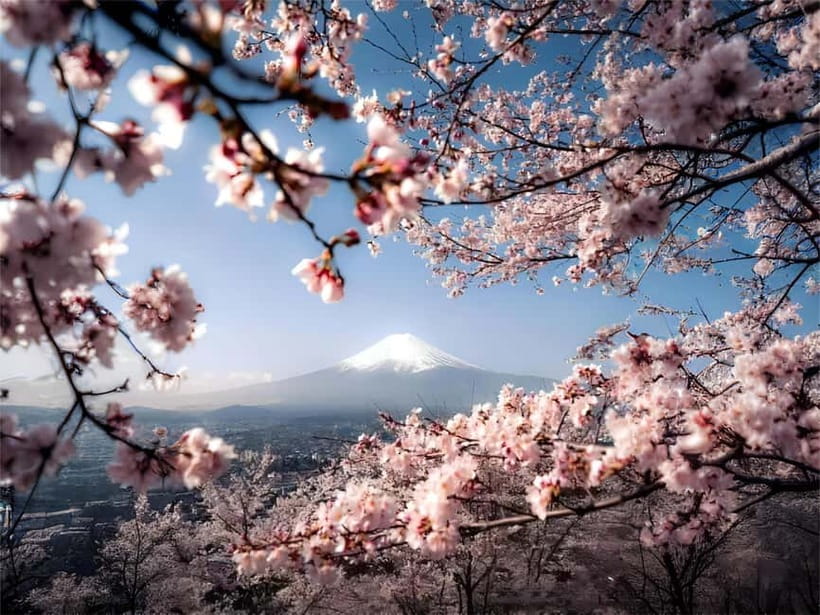 Tokyo: Mt. Fuji Summer Trip 5th Station & Lake Kawaguchi - Price and Value: What $63 Buys You