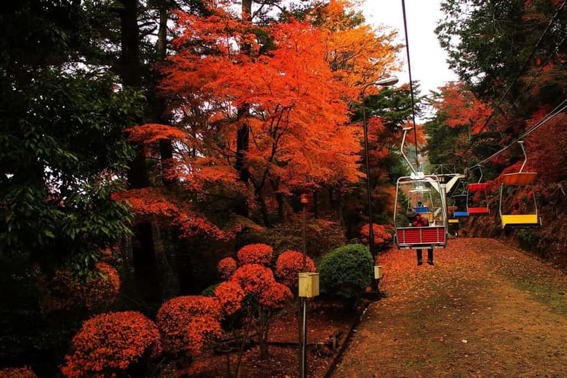 Tokyo: Mt Takao Tour with Ramen and Tattoo-Okay Hot Spring - Cable Car or Chair Lift to Mount Takao: Save Energy, Keep the Fun