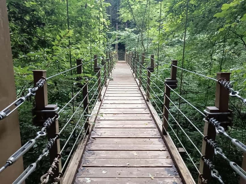 Tokyo: Mt Takao Tour with Ramen and Tattoo-Okay Hot Spring - Who This Tour Suits Best, and Who Might Find It Less Perfect