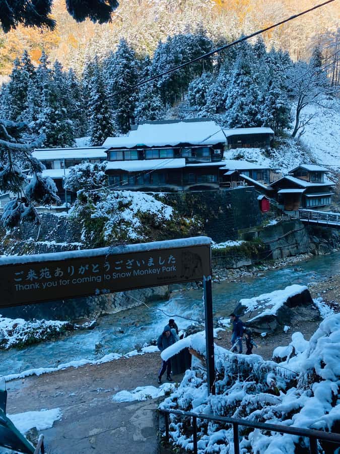 Tokyo/Nagano: private Tour with Snow Monkey Park & Temples - Why Nagano Feels Like a Reset From Tokyo
