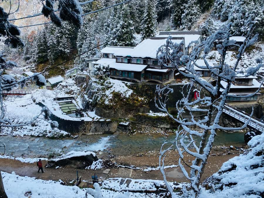 Tokyo/Nagano: private Tour with Snow Monkey Park & Temples - Jigokudani Snow Monkey Park: Macaques, Hot Springs, and a Winter Walk