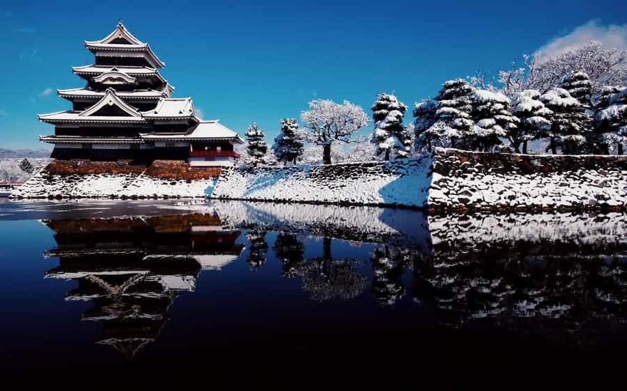 Tokyo/Nagano: private Tour with Snow Monkey Park & Temples - Shibu Onsen Walk and Onsen Treats in a Winter Hot Spring Town