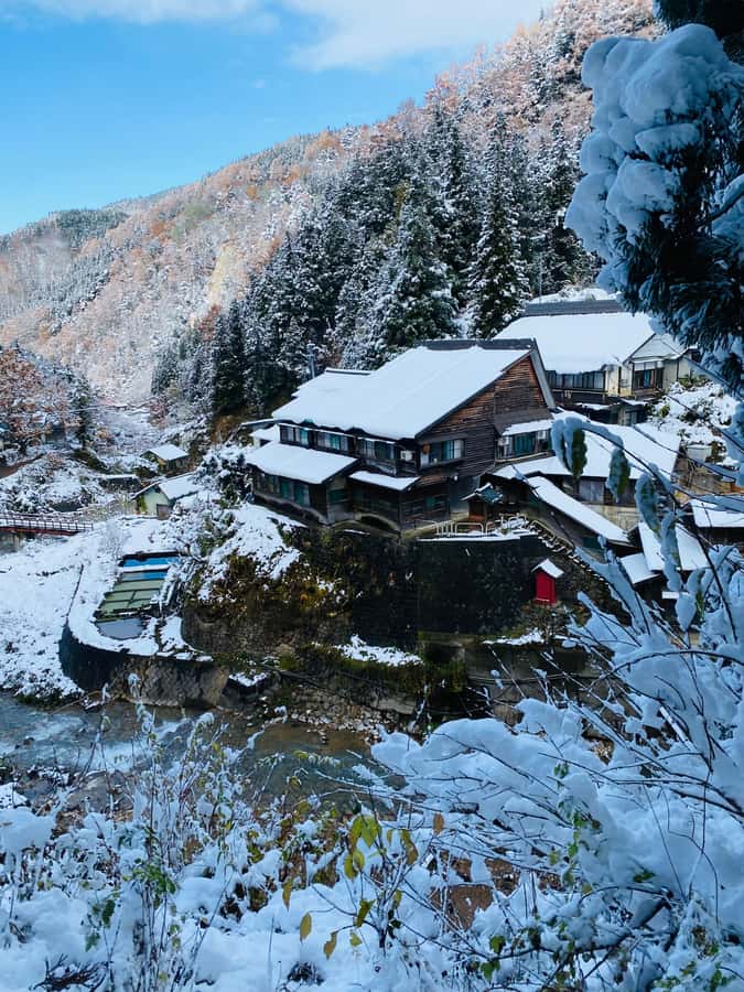 Tokyo/Nagano: private Tour with Snow Monkey Park & Temples - Zenko-ji Temple and Nakamise Street for a Calm, Old Japan Moment