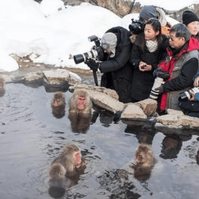 Tokyo: Nagano Snow Monkeys and Zenkoji Tour with Temples - Jigokudani Monkey Park: Watching Snow Monkeys in Their Hot-Spring World