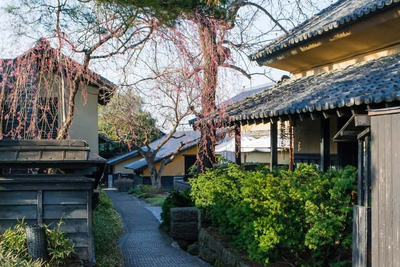 Tokyo: Nagano Snow Monkeys and Zenkoji Tour with Temples - Price and Logistics: What $510 Per Group Really Buys You