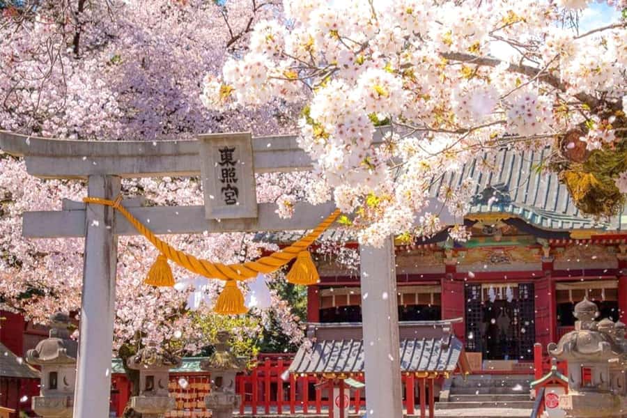 Tokyo: Nikko Day Tour Shrines, Lake Chūzenji & Kegon Falls - Key things that make this Nikko day special